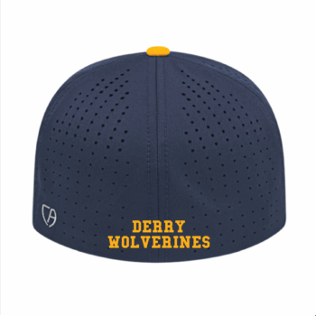 Fitted Perforated Hat - Image 2