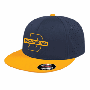 Fitted Perforated Hat