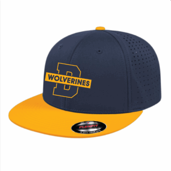 Fitted Perforated Hat